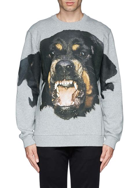 givenchy rottweiler sweater real vs fake|givenchy grey rottweiler sweater.